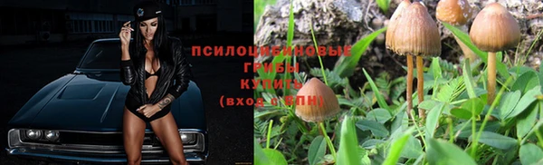 гидра Бутурлиновка