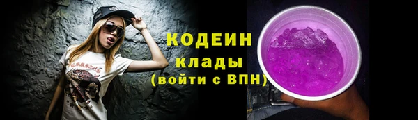 дмт Новозыбков