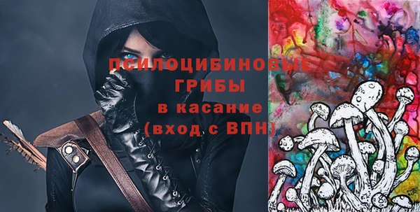 гидра Бутурлиновка