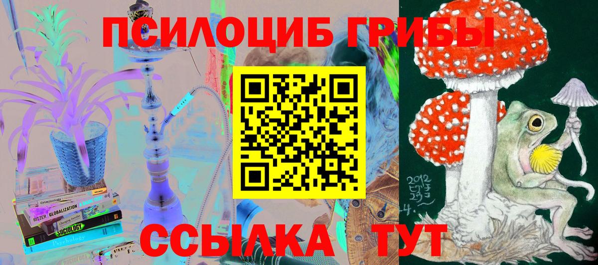 Галлюциногенные грибы мицелий Светлоград