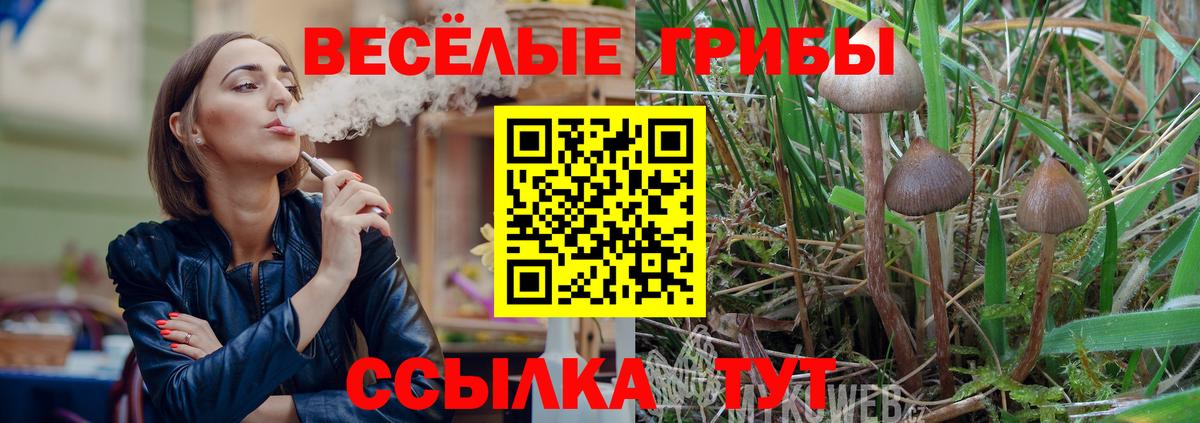 Светлоград  Галлюциногенные грибы MAGIC MUSHROOMS  Вход с VPN  Псилоцибиновые грибы мухоморы 