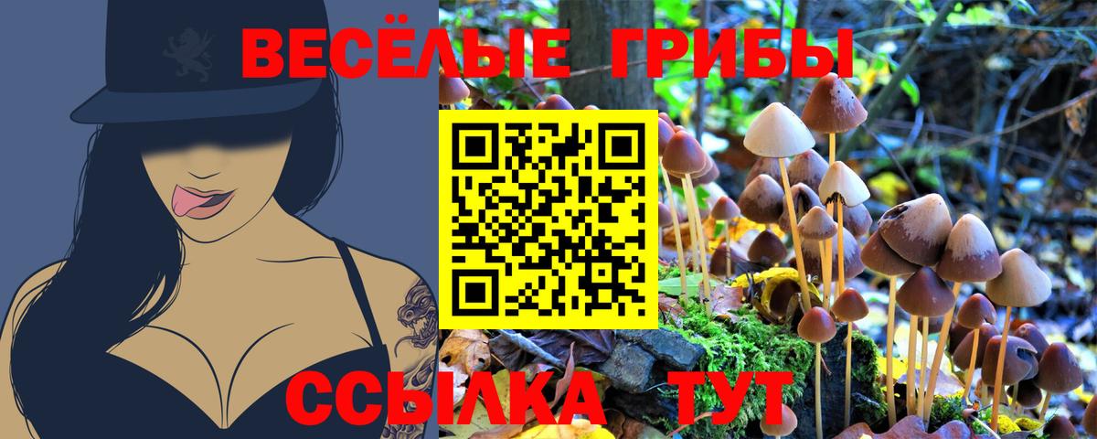 Cocaine  Вход с VPN  LSD-25  МЕТАМФЕТАМИН  Светлоград  Меф   Конопля  ГАШ 